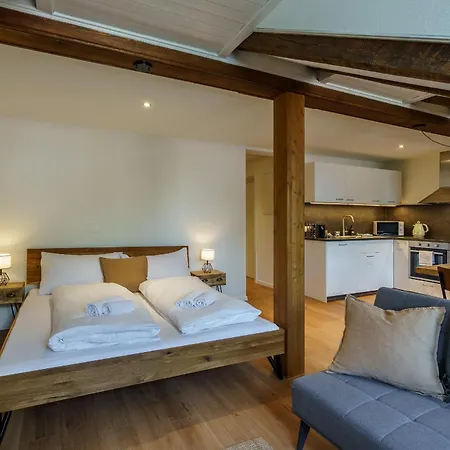 Heart Of Interlaken Apartments Extérieur photo